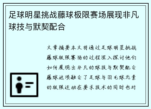 足球明星挑战藤球极限赛场展现非凡球技与默契配合