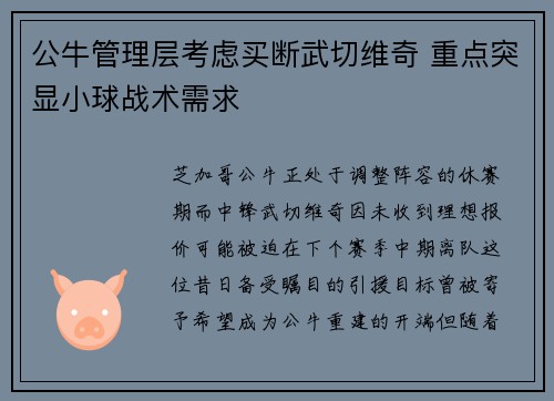 公牛管理层考虑买断武切维奇 重点突显小球战术需求